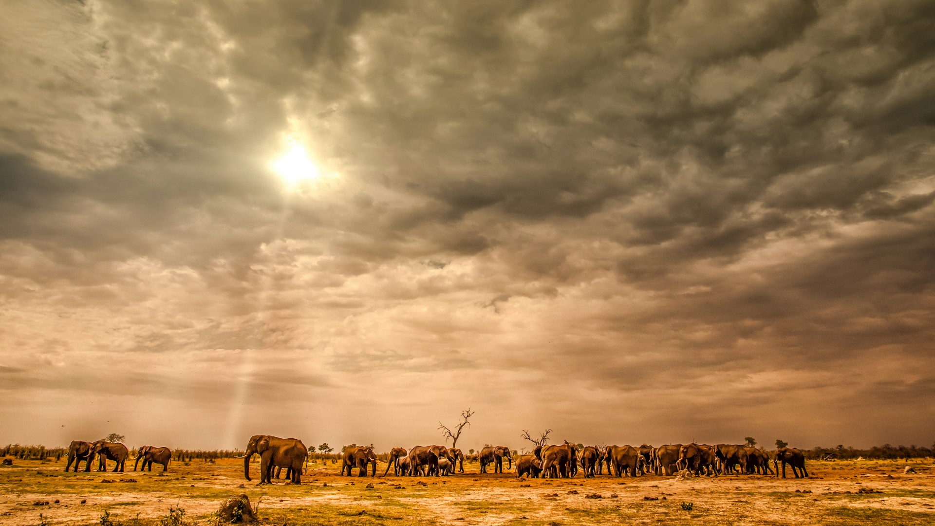 Delta Okavango Botswana
