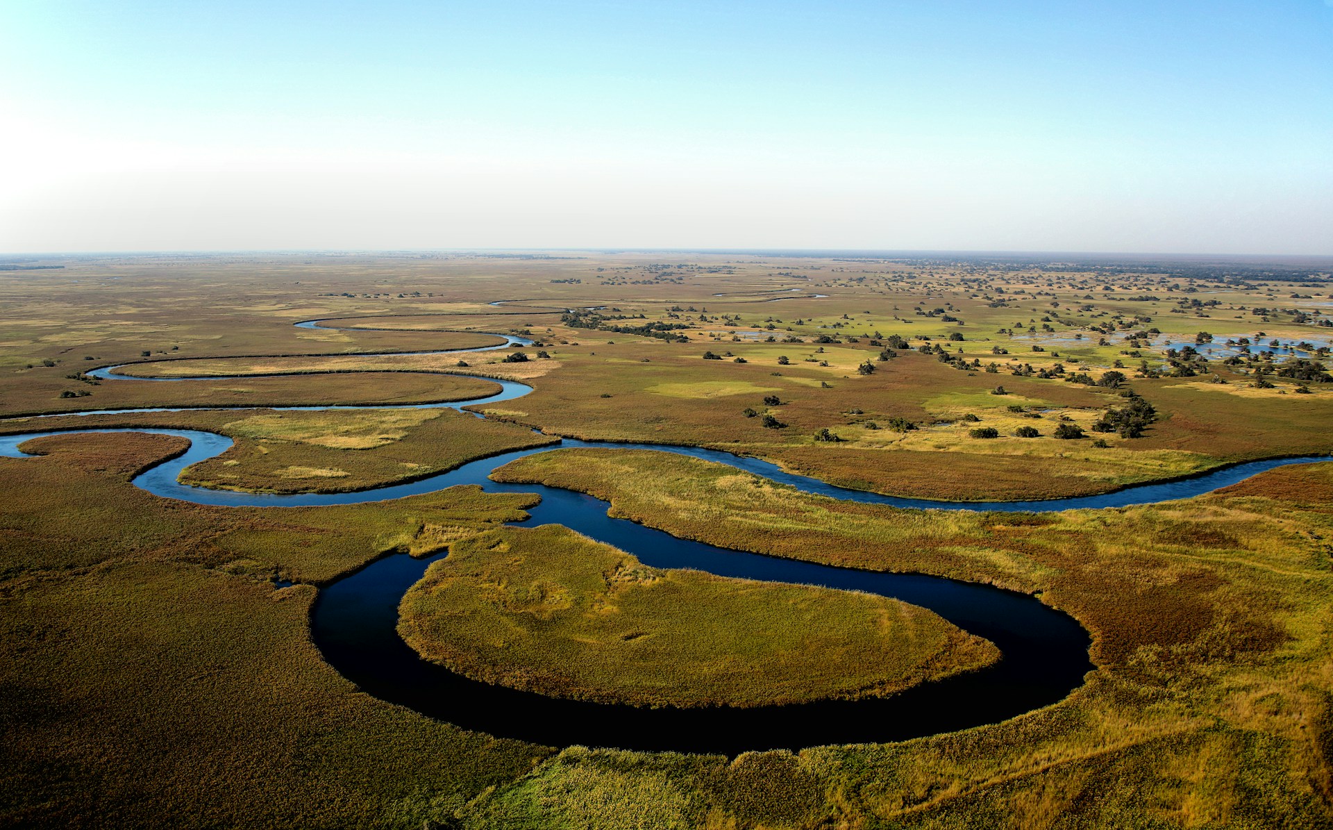 Moremi Botswana